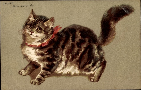 Hiroaki Katze mit rotem Halsband Kunstpostkarte 